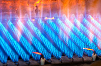 Campton gas fired boilers